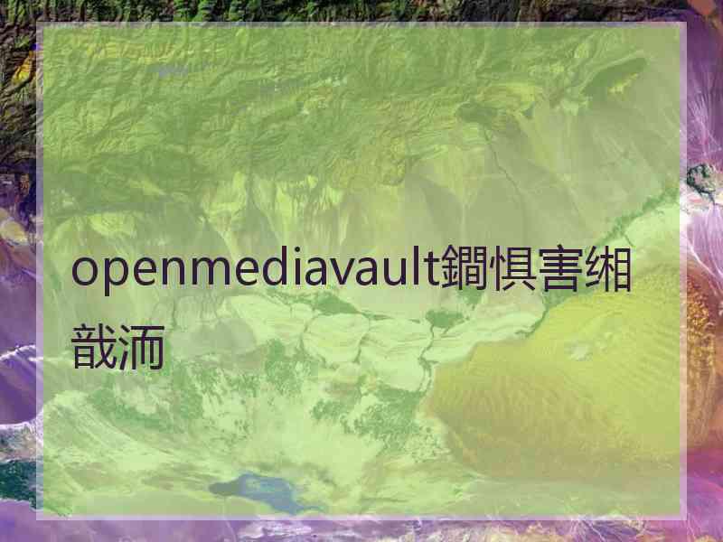 openmediavault鐧惧害缃戠洏 openmediavault鐧惧害缃戠洏
