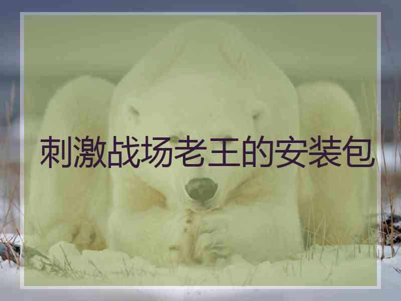 刺激战场老王的安装包 刺激战场老王的安装包