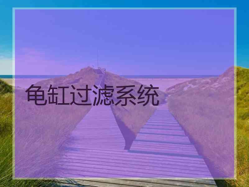 龟缸过滤系统 龟缸过滤系统