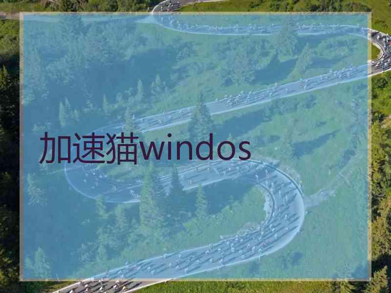 加速猫windos 加速猫windos