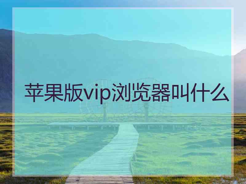 苹果版vip浏览器叫什么 苹果版vip浏览器叫什么