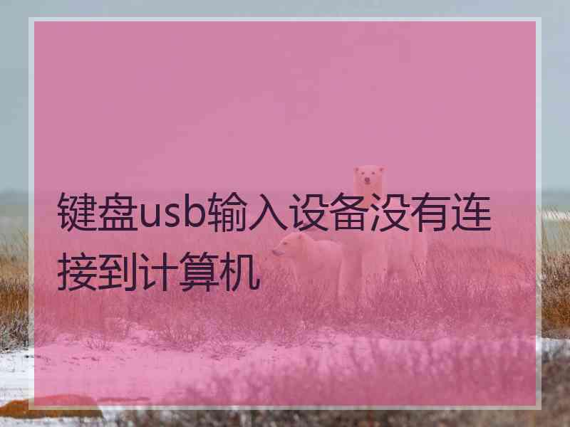 键盘usb输入设备没有连接到计算机 键盘usb输入设备没有连接到计算机
