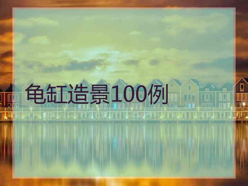 龟缸造景100例 龟缸造景100例