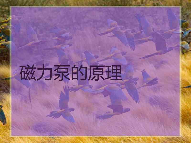 磁力泵的原理 磁力泵的原理