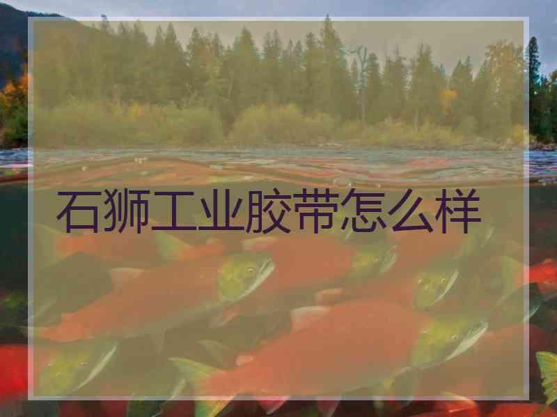 石狮工业胶带怎么样 石狮工业胶带怎么样