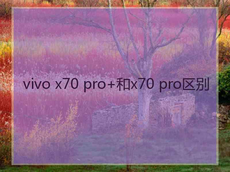 vivo x70 pro+和x70 pro区别 vivo x70 pro+和x70 pro区别