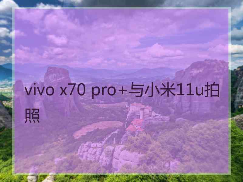 vivo x70 pro+与小米11u拍照 vivo x70 pro+与小米11u拍照