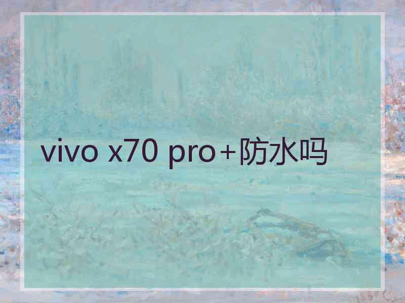 vivo x70 pro+防水吗 vivo x70 pro+防水吗