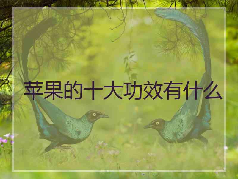 苹果的十大功效有什么 苹果的十大功效有什么
