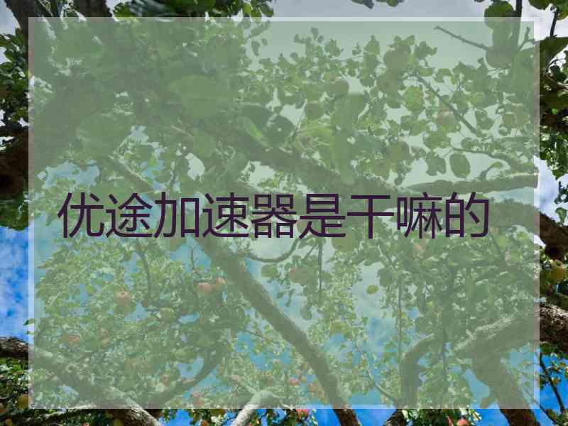 优途加速器是干嘛的 优途加速器是干嘛的