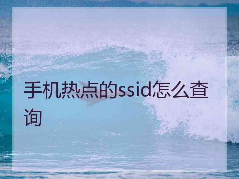 手机热点的ssid怎么查询 手机热点的ssid怎么查询
