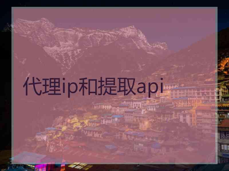 代理ip和提取api 代理ip和提取api