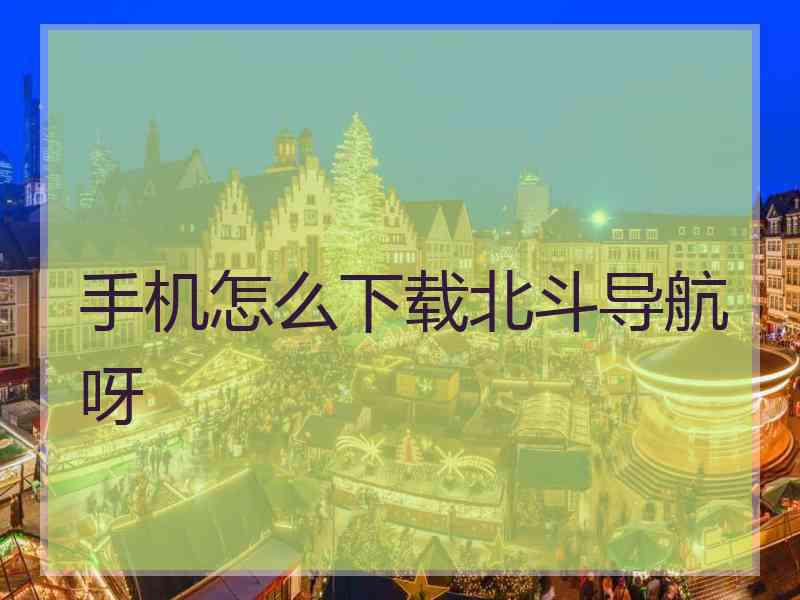 手机怎么下载北斗导航呀 手机怎么下载北斗导航呀