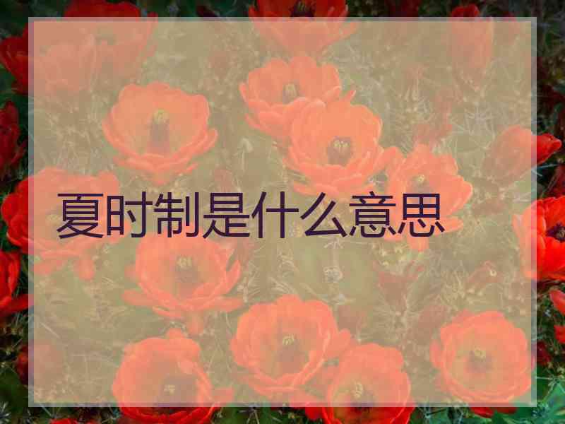 夏时制是什么意思 夏时制是什么意思