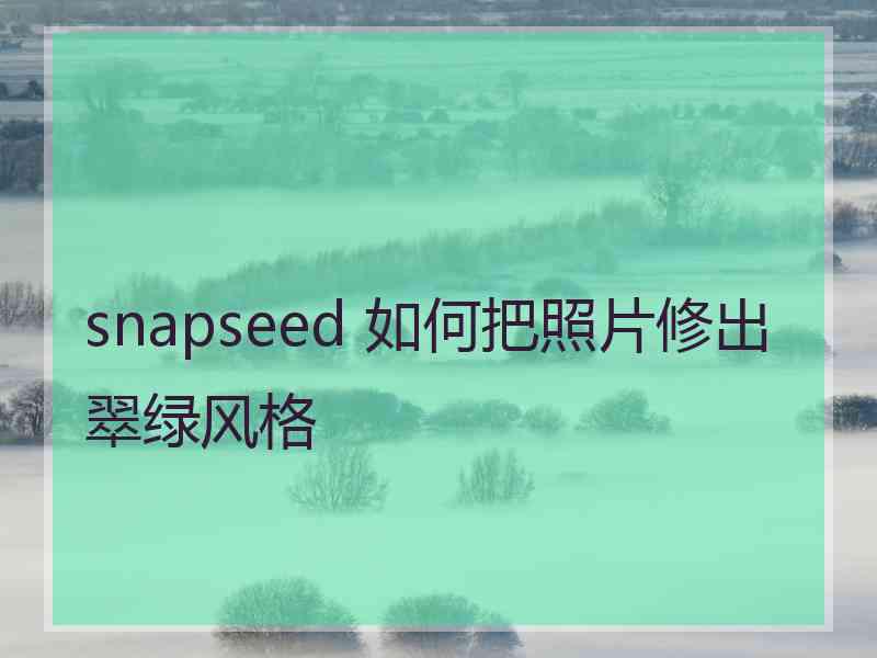 snapseed 如何把照片修出翠绿风格 snapseed 如何把照片修出翠绿风格