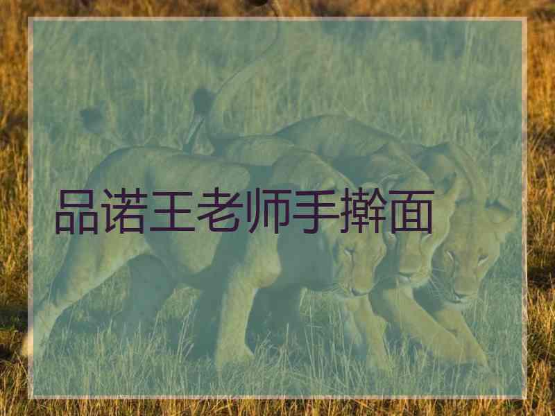 品诺王老师手擀面 品诺王老师手擀面