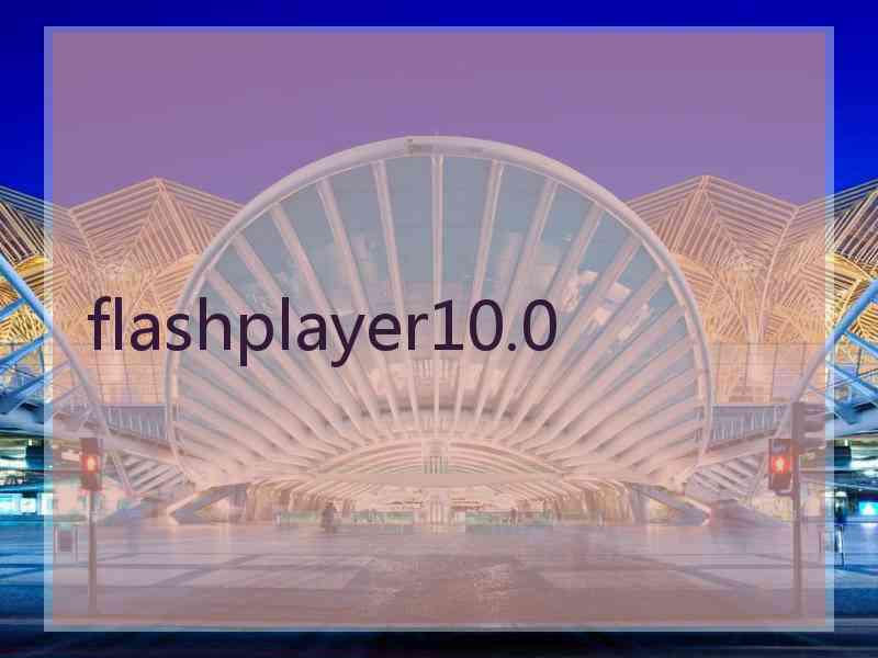 flashplayer10.0 flashplayer10.0