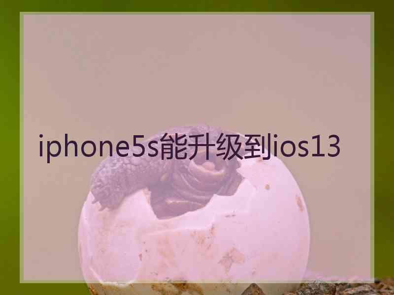 iphone5s能升级到ios13 iphone5s能升级到ios13