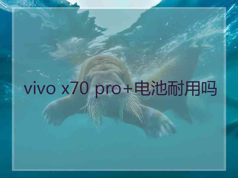 vivo x70 pro+电池耐用吗 vivo x70 pro+电池耐用吗