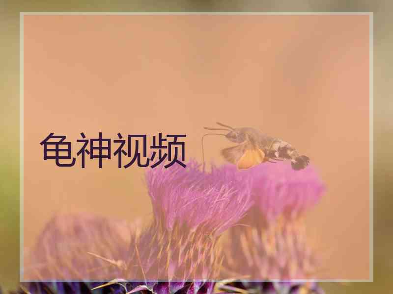 龟神视频 龟神视频