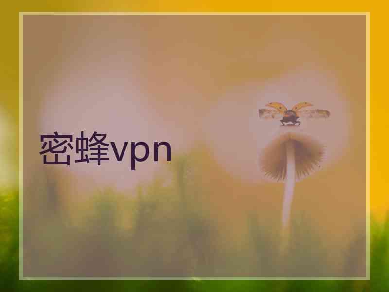 密蜂vpn 密蜂vpn