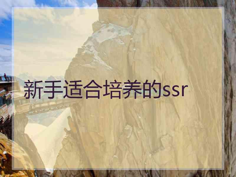 新手适合培养的ssr 新手适合培养的ssr
