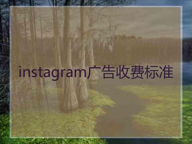 instagram广告收费标准 instagram广告收费标准