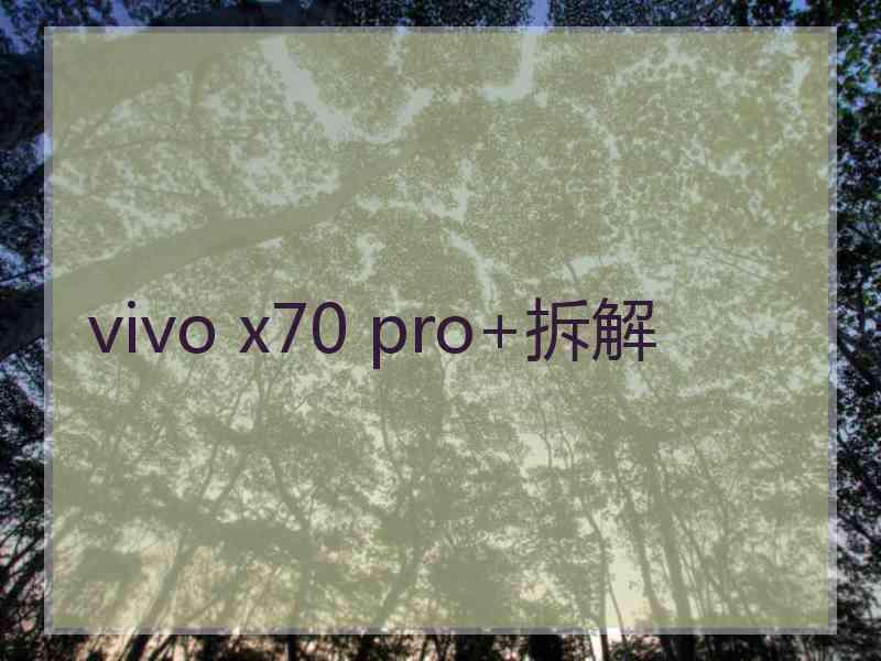 vivo x70 pro+拆解 vivo x70 pro+拆解