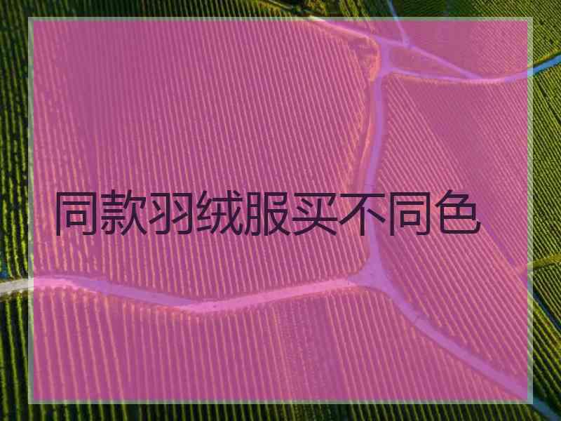 同款羽绒服买不同色 同款羽绒服买不同色