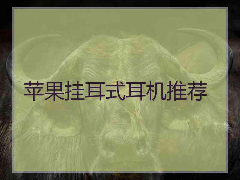 苹果挂耳式耳机推荐 苹果挂耳式耳机推荐