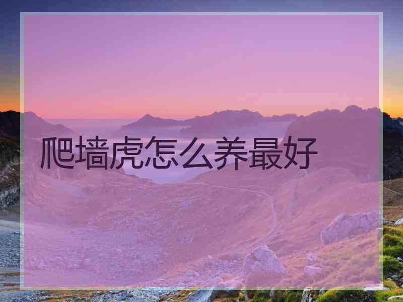 爬墙虎怎么养最好 爬墙虎怎么养最好