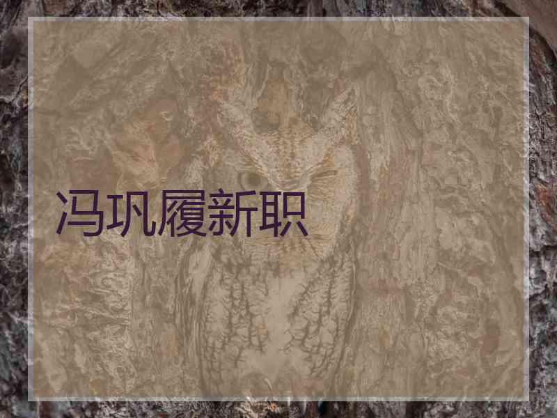 冯巩履新职 冯巩履新职