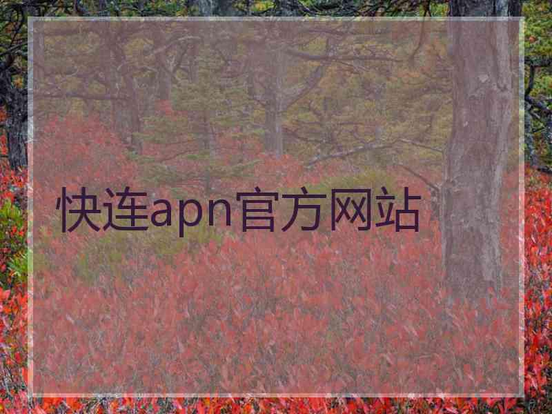 快连apn官方网站 快连apn官方网站