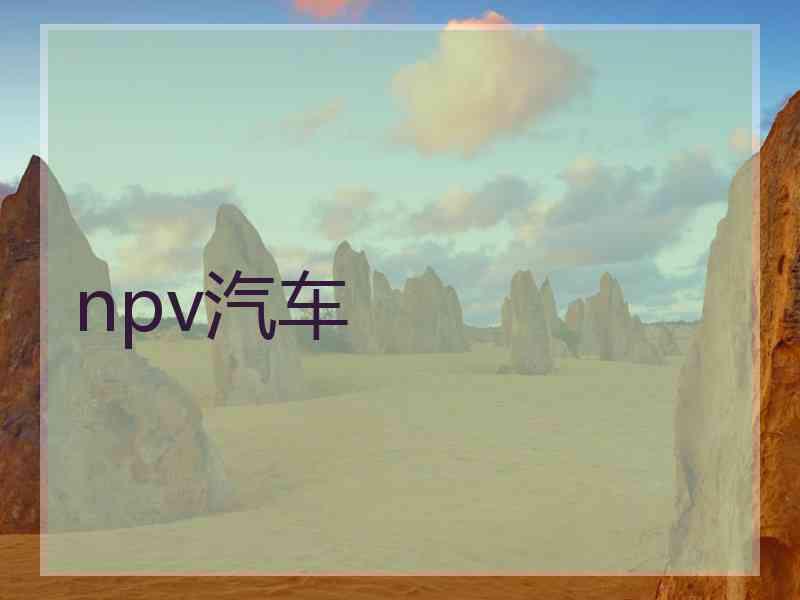 npv汽车 npv汽车