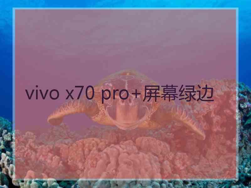 vivo x70 pro+屏幕绿边 vivo x70 pro+屏幕绿边