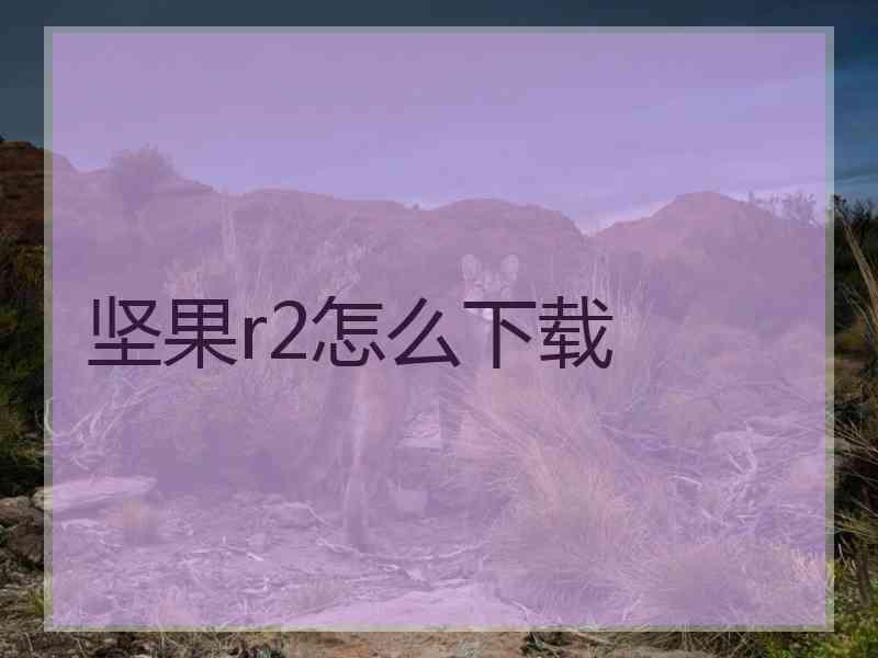 坚果r2怎么下载 坚果r2怎么下载