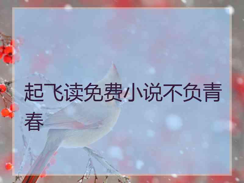 起飞读免费小说不负青春 起飞读免费小说不负青春