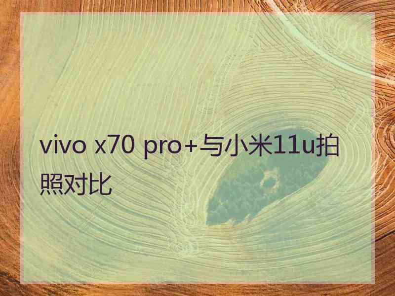 vivo x70 pro+与小米11u拍照对比 vivo x70 pro+与小米11u拍照对比
