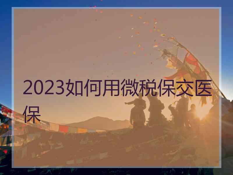 2023如何用微税保交医保 2023如何用微税保交医保
