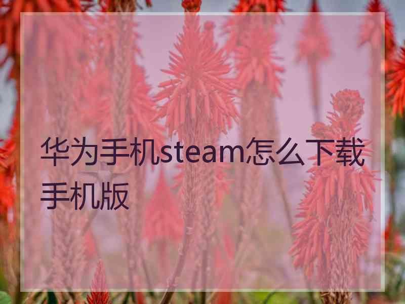 华为手机steam怎么下载手机版 华为手机steam怎么下载手机版
