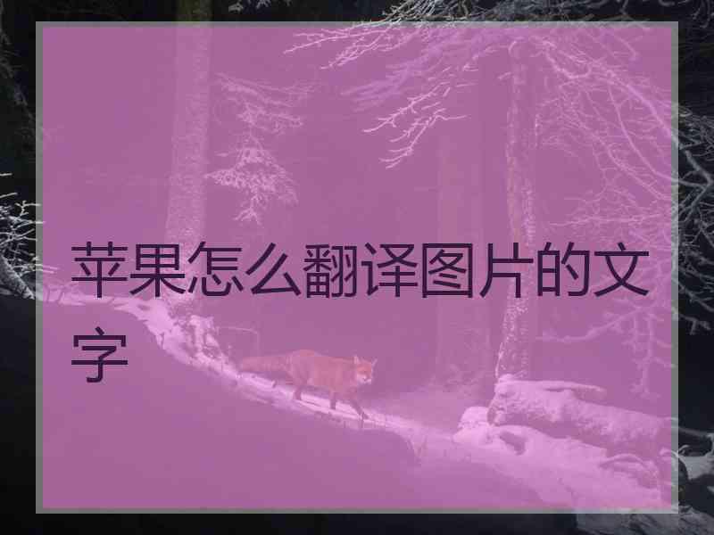 苹果怎么翻译图片的文字 苹果怎么翻译图片的文字