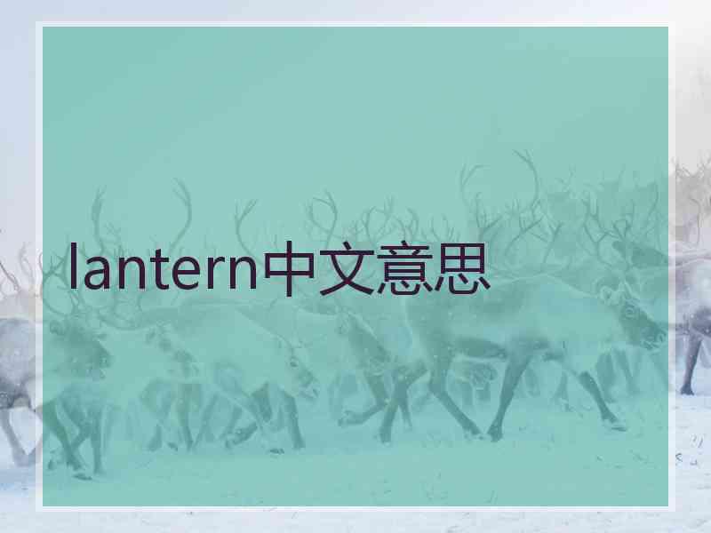lantern中文意思 lantern中文意思