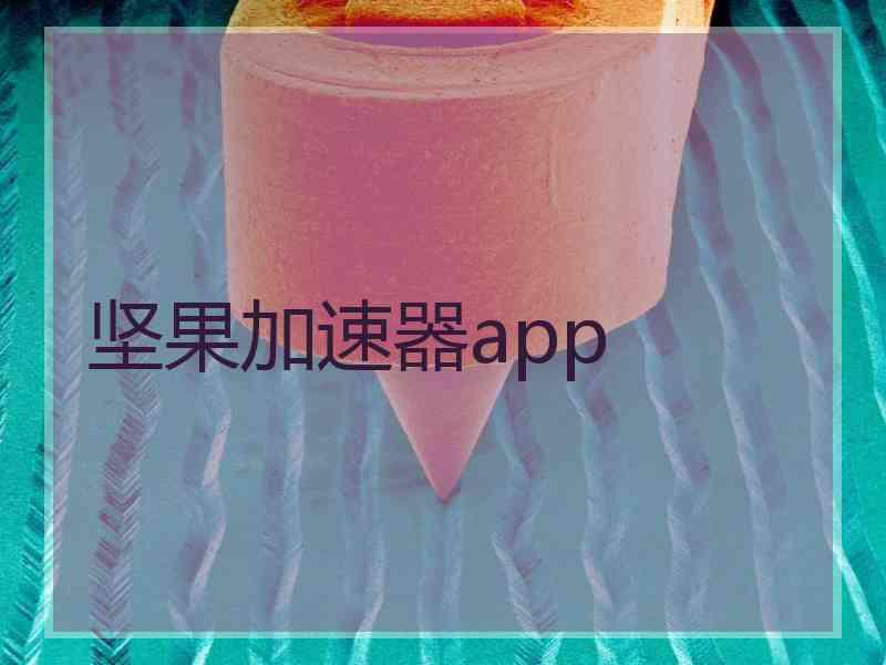 坚果加速器app 坚果加速器app