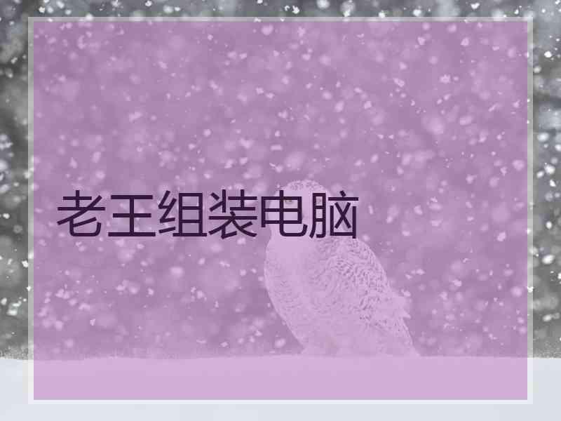 老王组装电脑 老王组装电脑