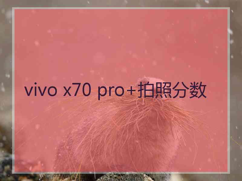 vivo x70 pro+拍照分数 vivo x70 pro+拍照分数