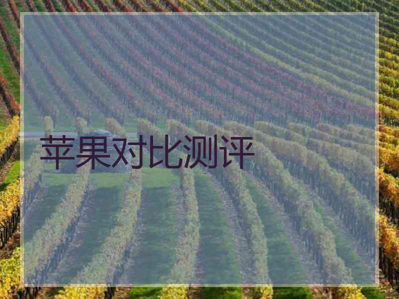 苹果对比测评 苹果对比测评