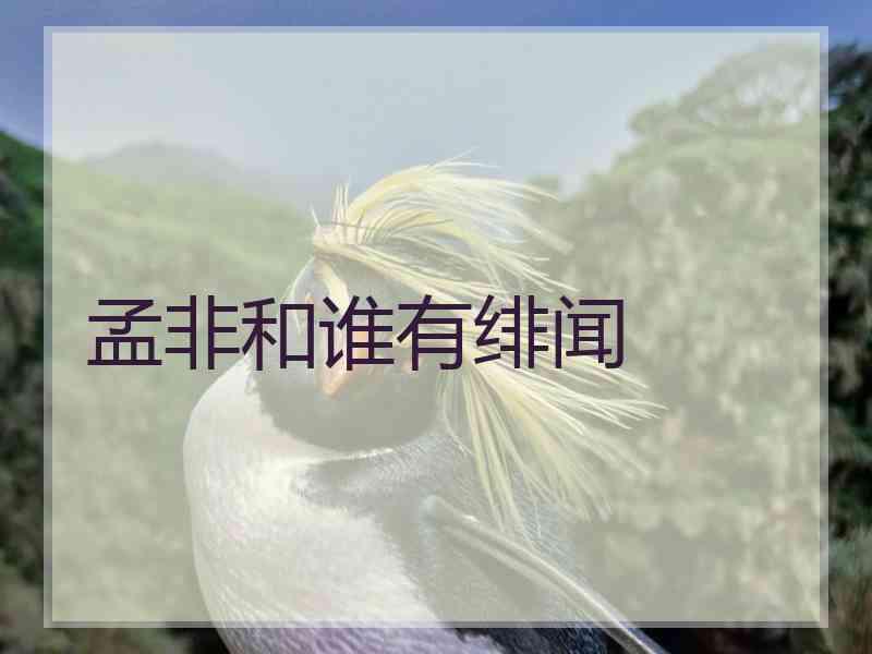 孟非和谁有绯闻 孟非和谁有绯闻