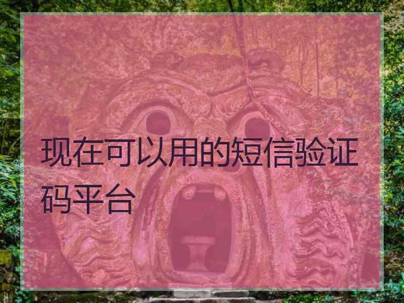 现在可以用的短信验证码平台 现在可以用的短信验证码平台