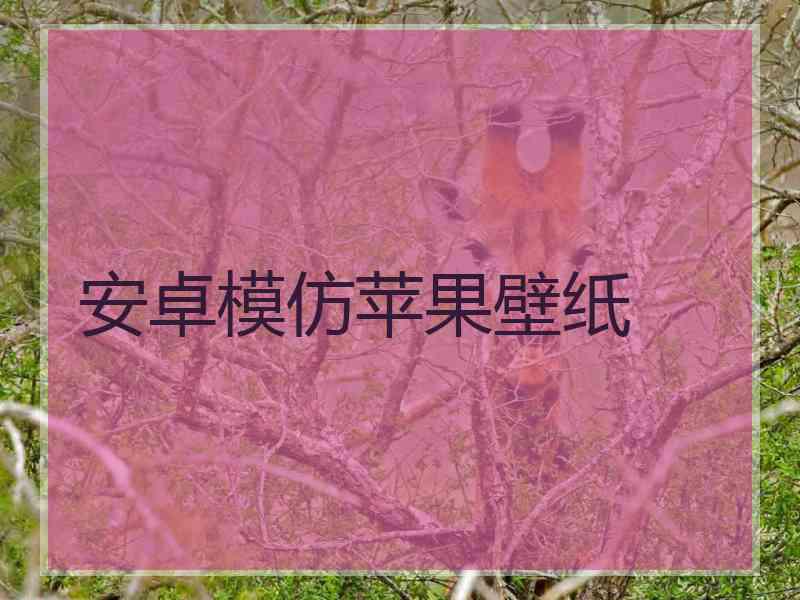 安卓模仿苹果壁纸 安卓模仿苹果壁纸