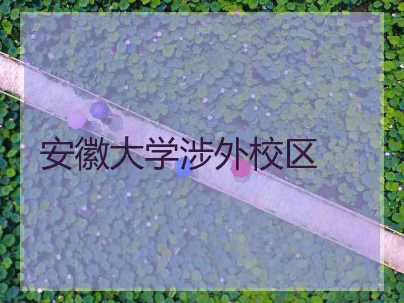安徽大学涉外校区 安徽大学涉外校区